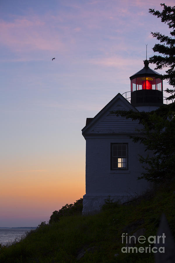 Bass Harbor Lighthouse #2 Photograph by Diane Diederich