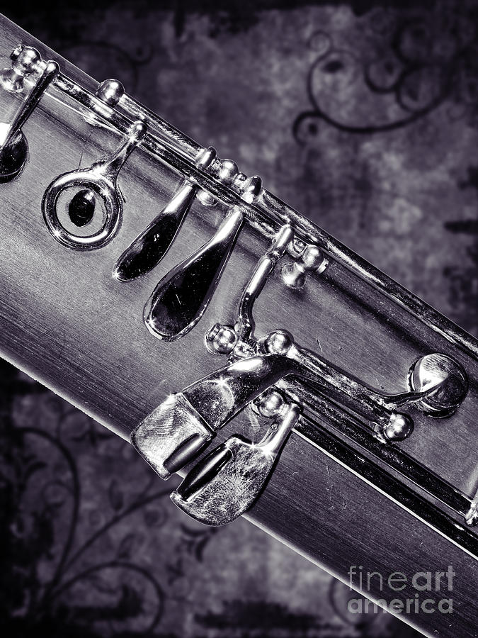 Bassoon Music Instrument Fine Art Prints Canvas Prints Greeting Cards in Black White 3420.01 Photograph by M K Miller