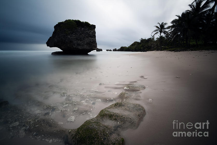 Bathsheba beach Barbados #1 Photograph by Matteo Colombo
