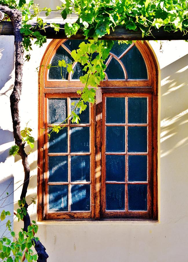 Bay window #1 Photograph by Werner Lehmann