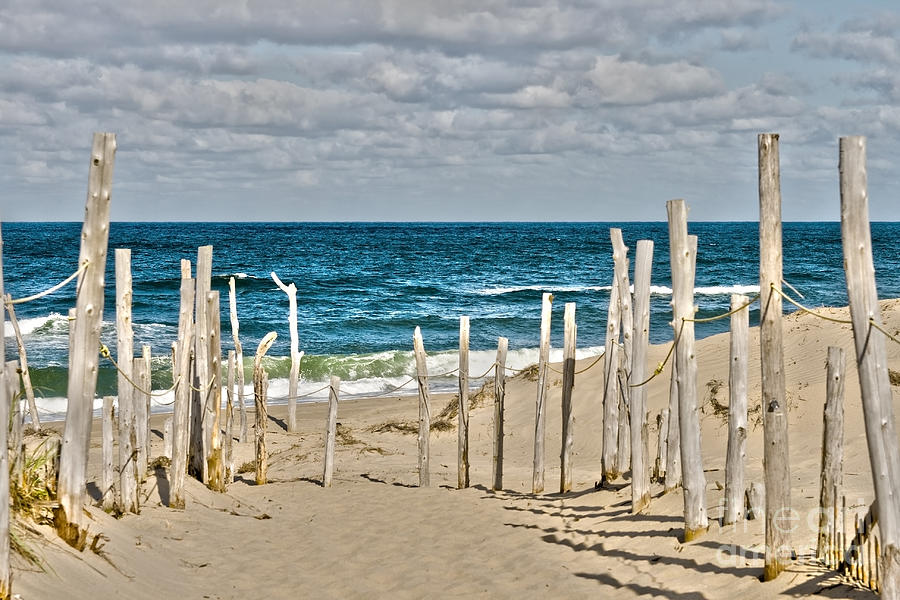 Beach at Cape cod Digital Art by Patricia Hofmeester