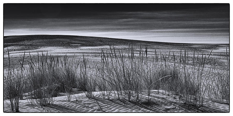 Beach Dunes BW Photograph by Robert Fawcett