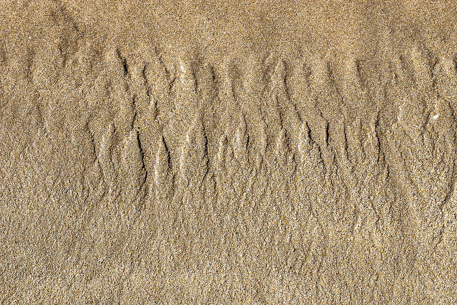 Beach Patterns 2 Photograph by Steven Ralser