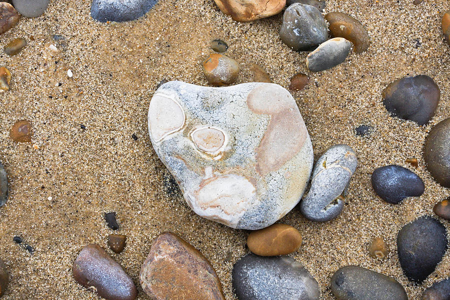 Beach pebbles Photograph by Tom Gowanlock - Fine Art America