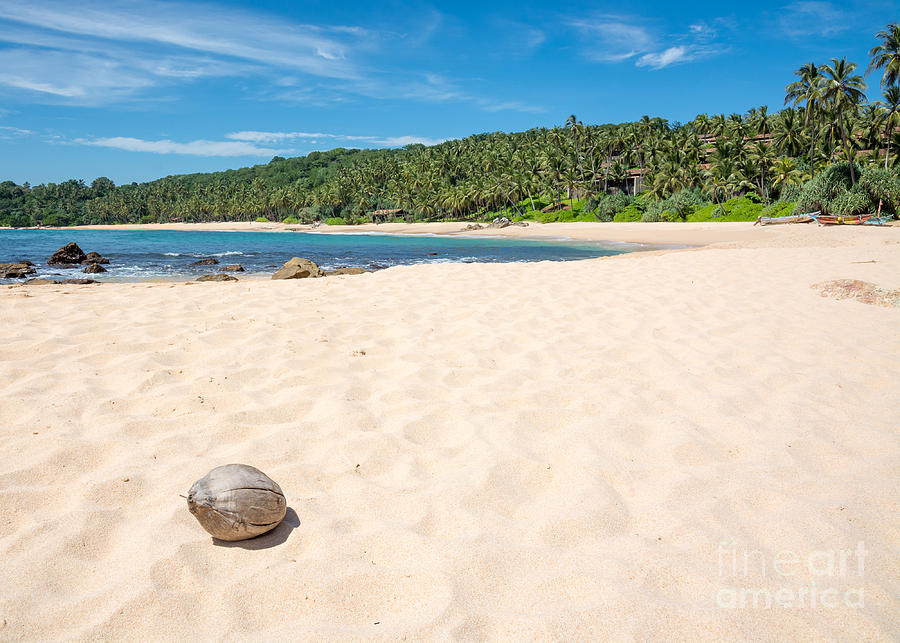 Beach With Coconut. Photograph