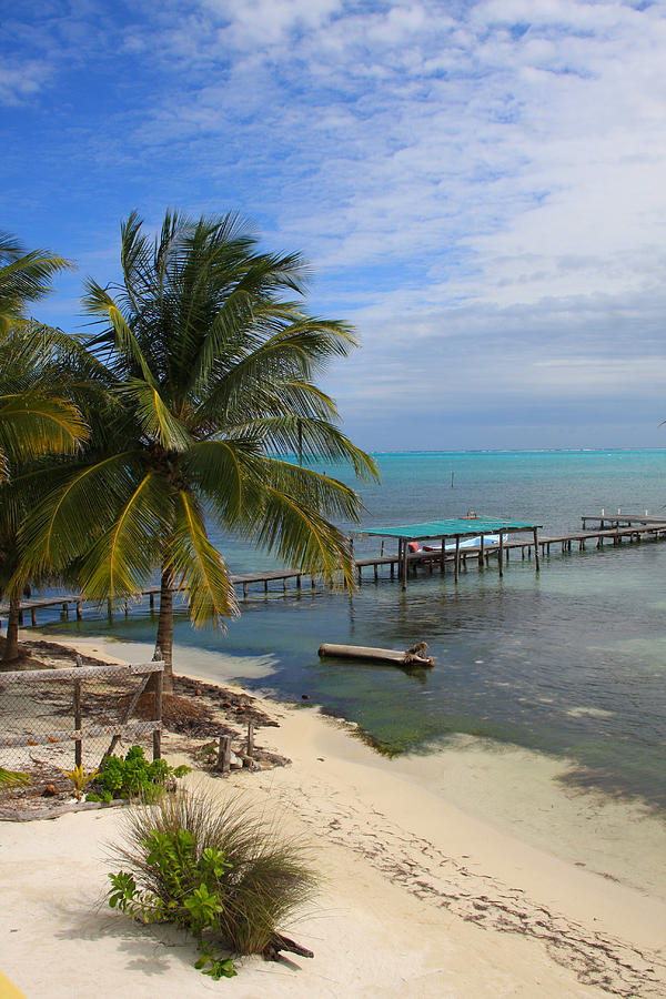 Beachfront Caye Caulker Belize Photograph by Lee Vanderwalker - Fine ...