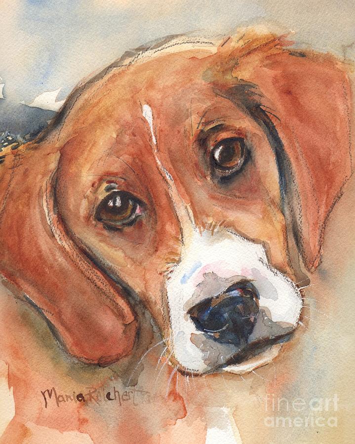 Beagle Painting - Beagle Dog  #1 by Maria Reichert