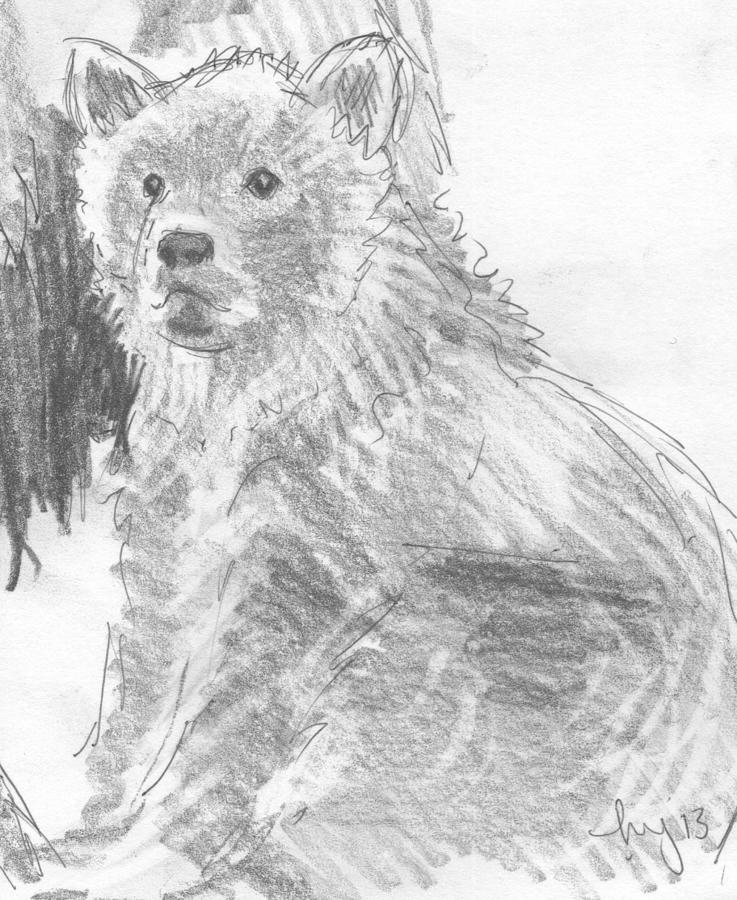 Bear cub #1 Drawing by Mike Jory