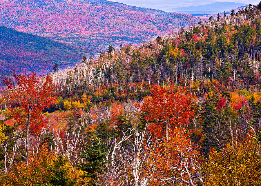 Fall Photograph - Bear Notch View by Jeff Sinon