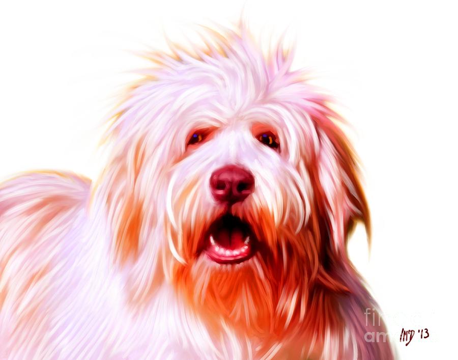 Dog Painting - Bearded Collie #2 by Iain McDonald