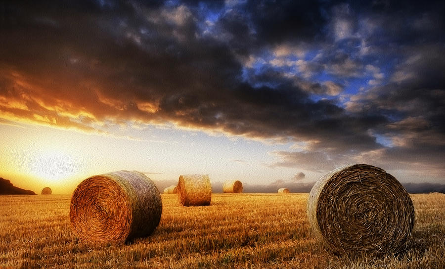 Summer Photograph - Beautiful hay bales sunset landscape digital painting #1 by Matthew Gibson