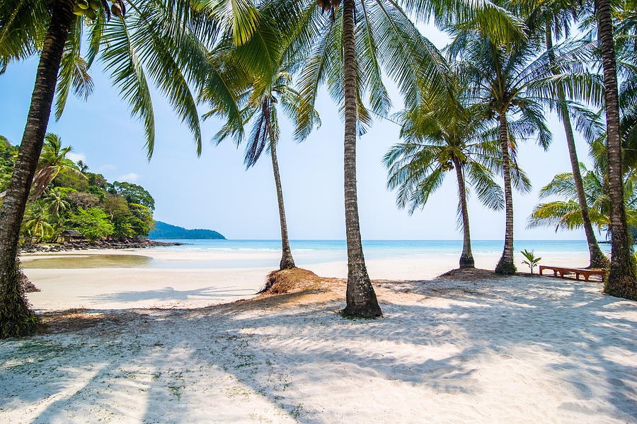 Beautiful isolated beach in Thailand (Koh Kut) with a swing #1 Photograph by Yanis Ourabah