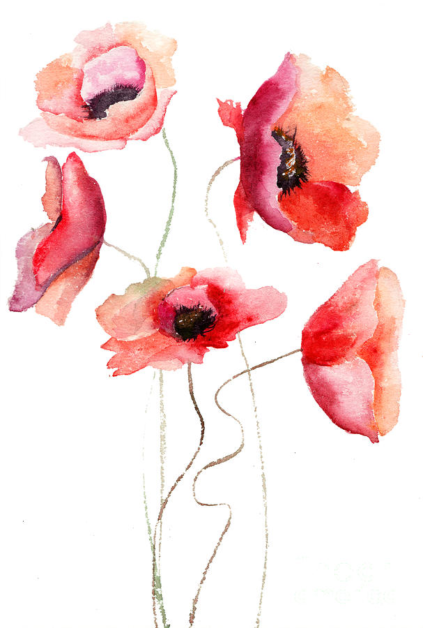 Beautiful Poppy flowers Painting by Regina Jershova - Fine Art America