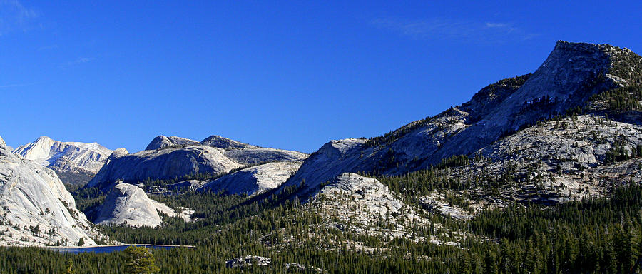 Beautiful Sierras Photograph by Lynn Bawden