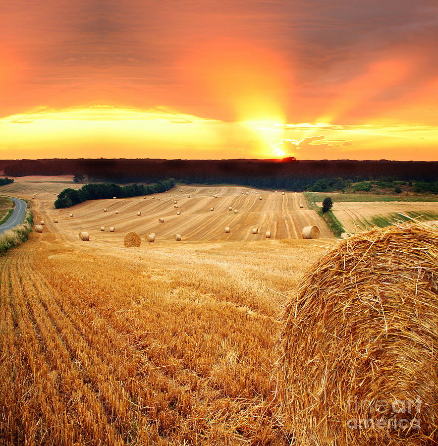 Beautiful Straw Bales Photograph by Boon Mee - Fine Art America