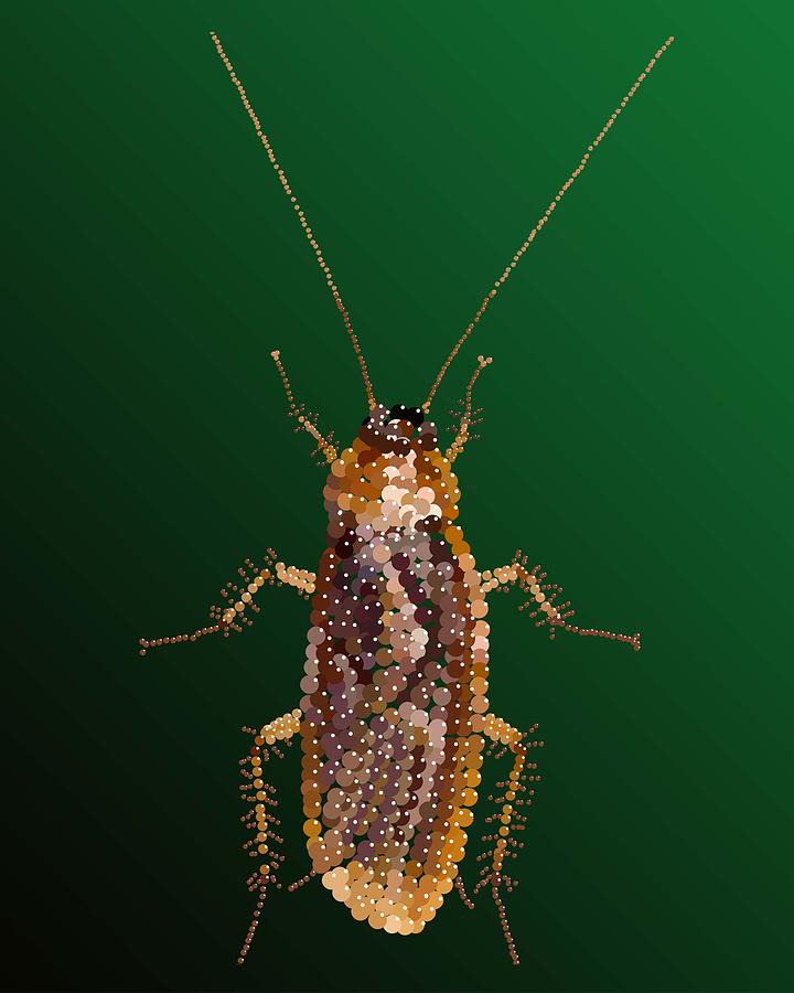 Bedazzled Roach Digital Art by R  Allen Swezey