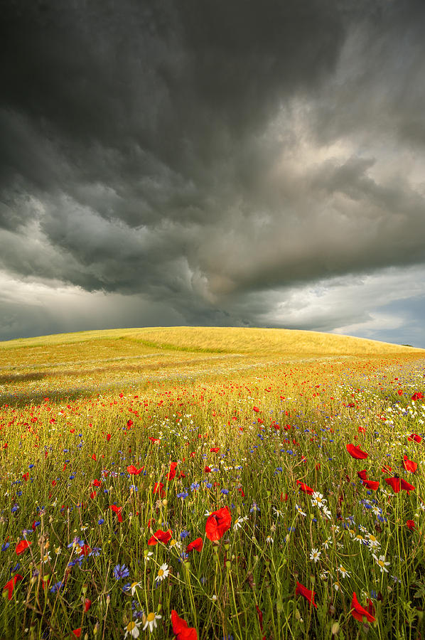 Summer Photograph - Before the storm #1 by Jan Sieminski