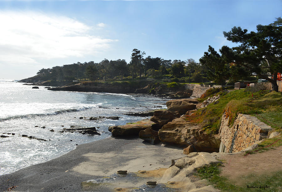 Behind The 18th At Pebble Beach #1 Photograph by Barbara Snyder