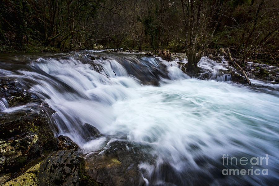 Belelle River Neda Galicia Spain #1 Photograph by Pablo Avanzini