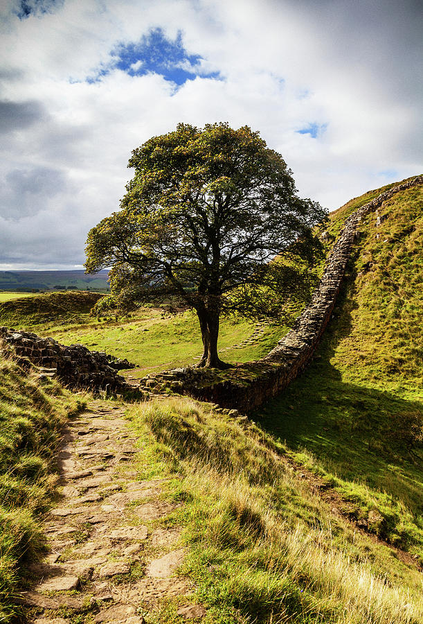Below Winshields Is The Sycamore Gap #1 Photograph by Panoramic Images