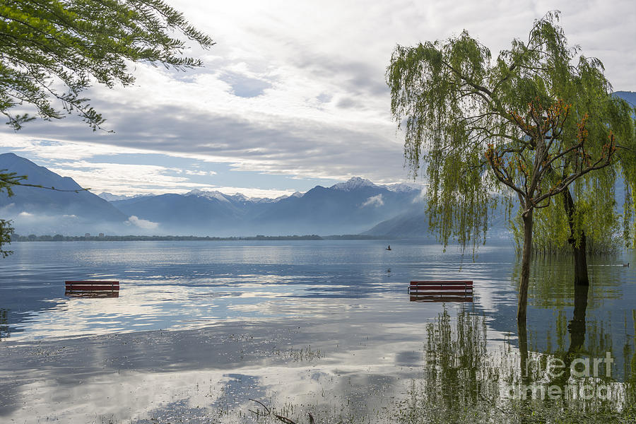 Bench with trees on a flooding alpine lake #1 Photograph by Mats Silvan