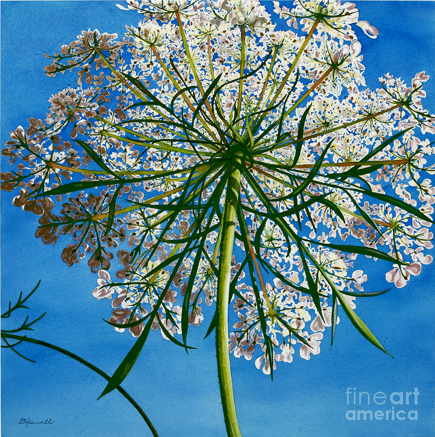 Flowers Still Life Painting - Beneath Queen Annes Lace  by Barbara Jewell