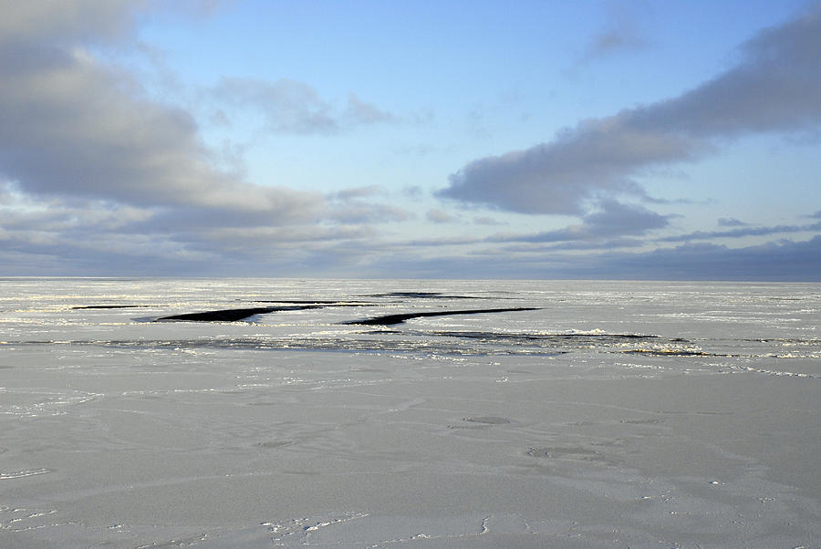 Bering Sea Ice #1 Photograph by Carleton Ray