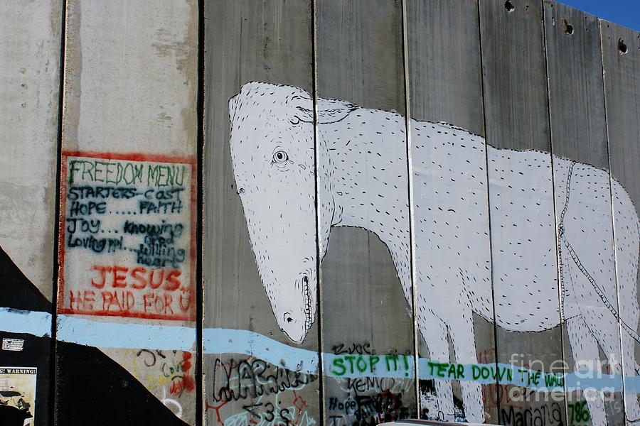 Bethlehem Separation Wall #3 Photograph by David Birchall