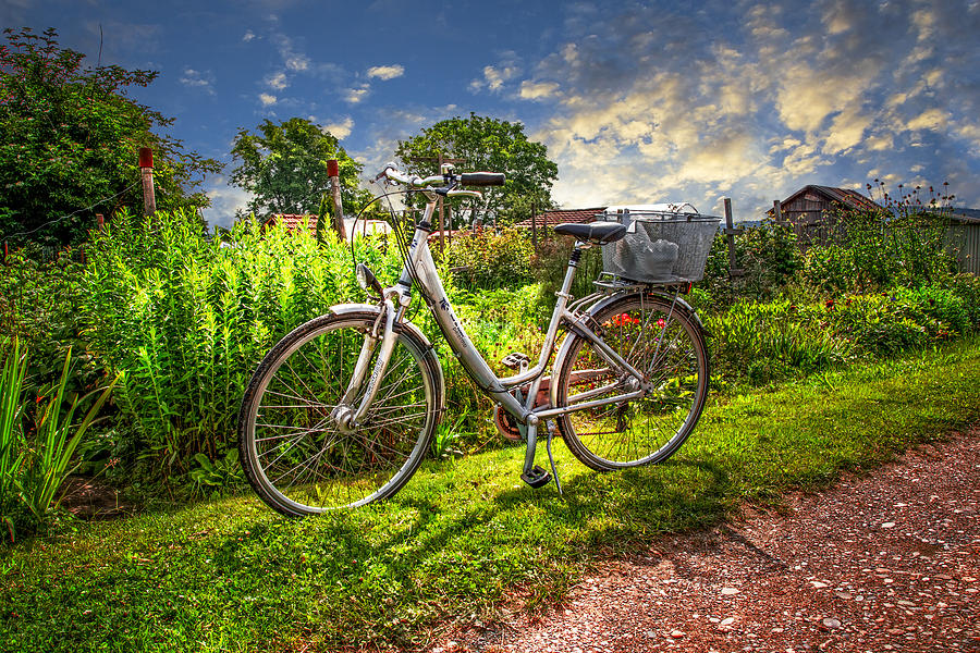 Bicycle in the Garden #1 Photograph by Debra and Dave Vanderlaan