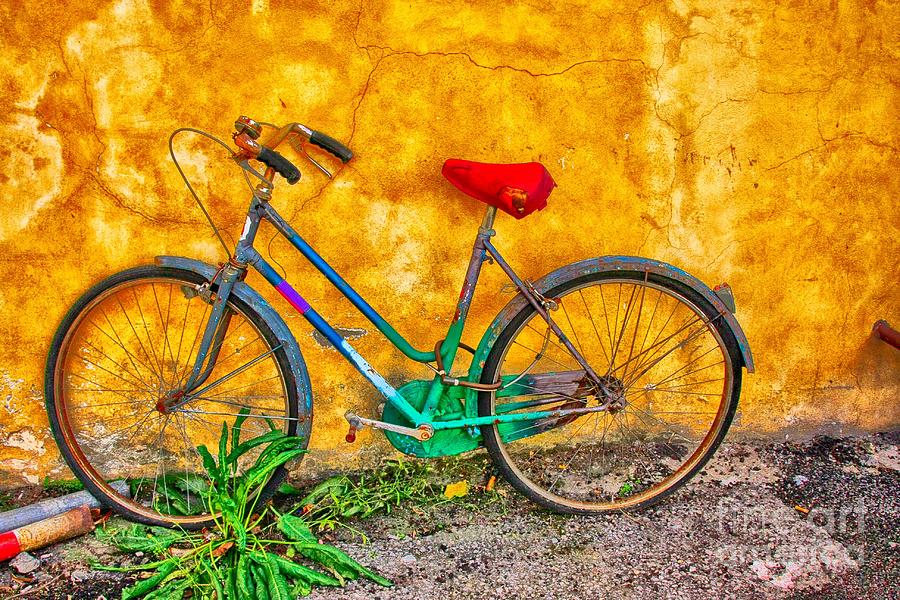 Bicycle #1 Photograph by Nicola Fiscarelli