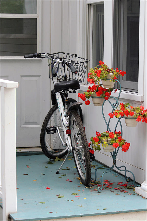 Bicycles and Geraniums Photograph by Jackson Pearson