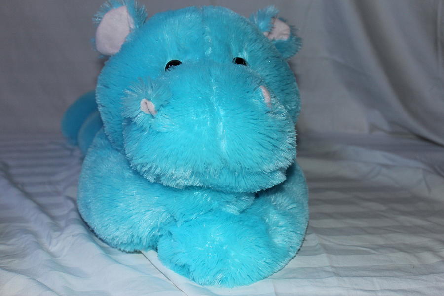large blue teddy bear