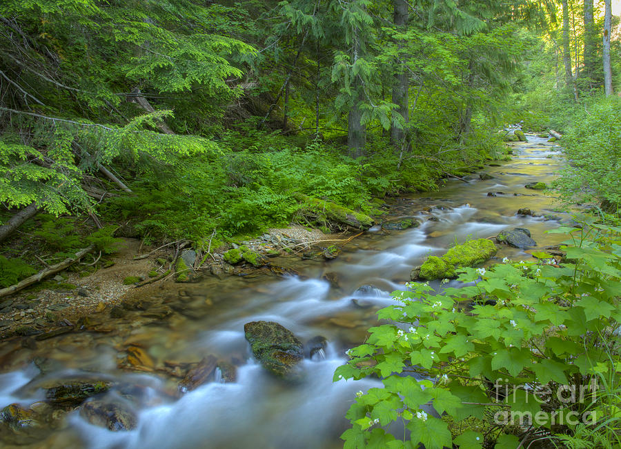 Cool Photograph - Big Creek #1 by Idaho Scenic Images Linda Lantzy