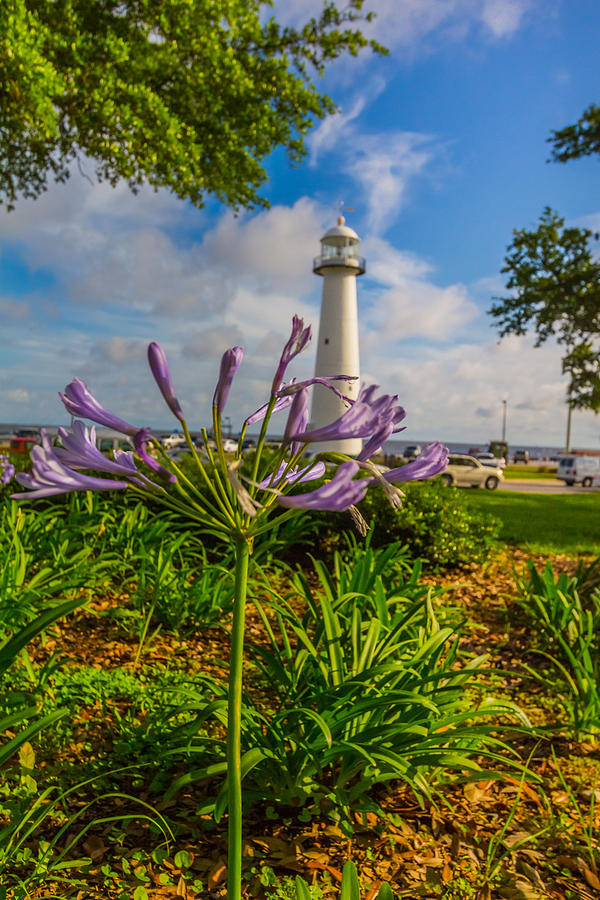 Flowers Still Life Photograph - Biloxi Lighthouse #1 by Brian Wright