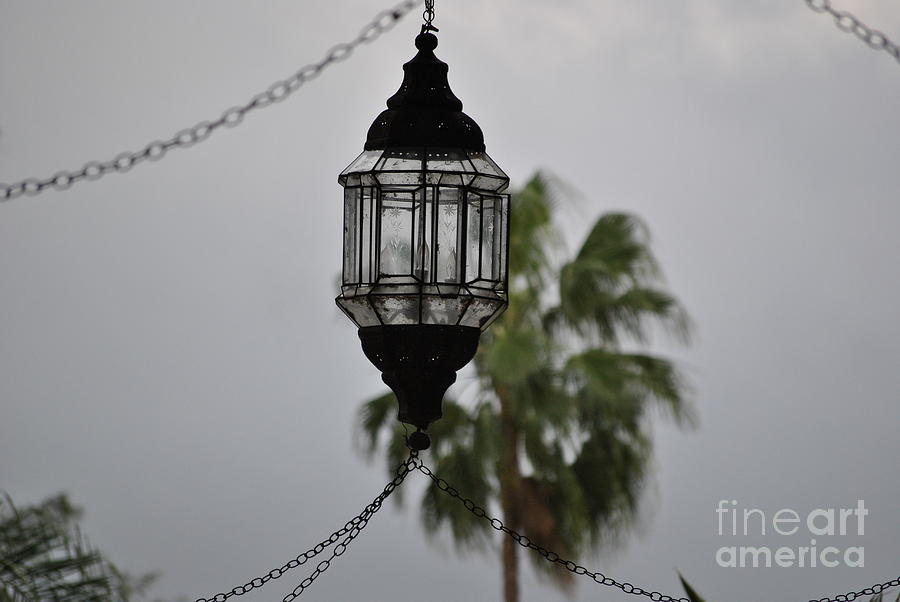 Biltmore Lamp Photograph