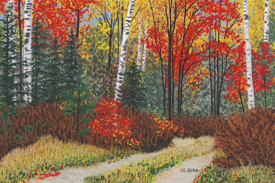 Tree Pastel - Birch Trail #1 by George Burr