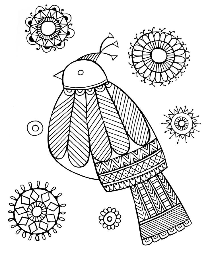 Black And White Drawing - Bird Dove #1 by MGL Meiklejohn Graphics Licensing