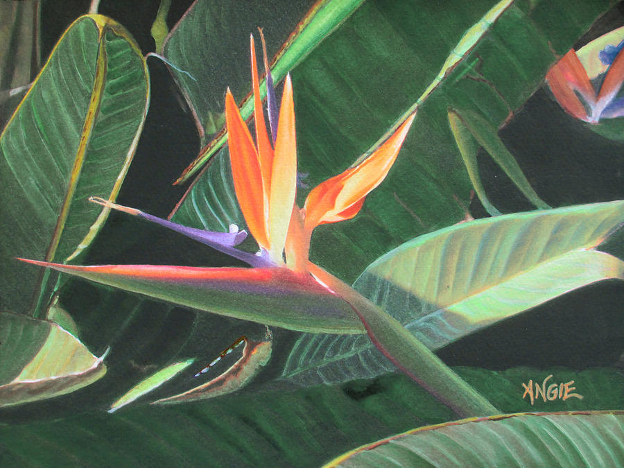 Flowers Still Life Painting - Bird Of Paradise 2 #1 by Angie Hamlin