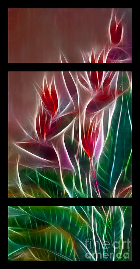 Abstract Digital Art - Bird of Paradise Fractal #2 by Peter Piatt