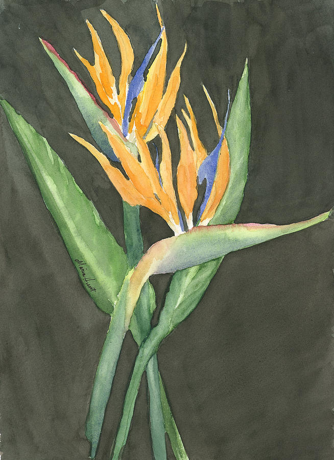 Bird  of Paradise Painting by Maria Hunt