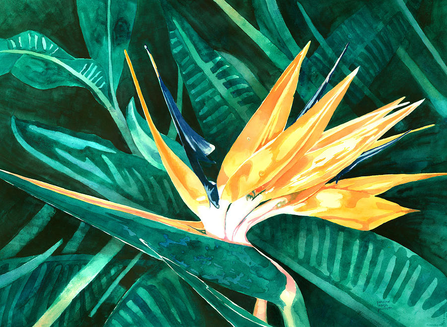 Bird of Paradise Painting by Pauline Walsh Jacobson