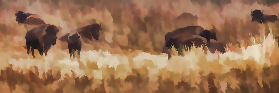 Bison  Bison Bison Athabascae  Grazing #1 Painting by Ron Harris