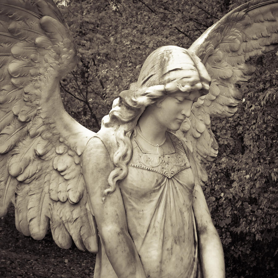 Black and White Angel Photograph by Patsy Zedar