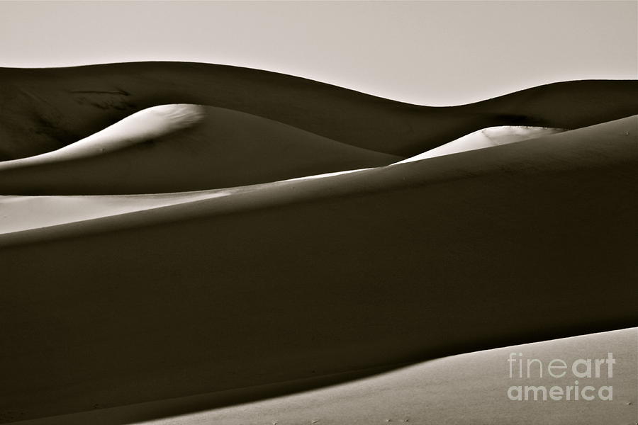 Black and White Dunes #1 Photograph by Michael Cinnamond