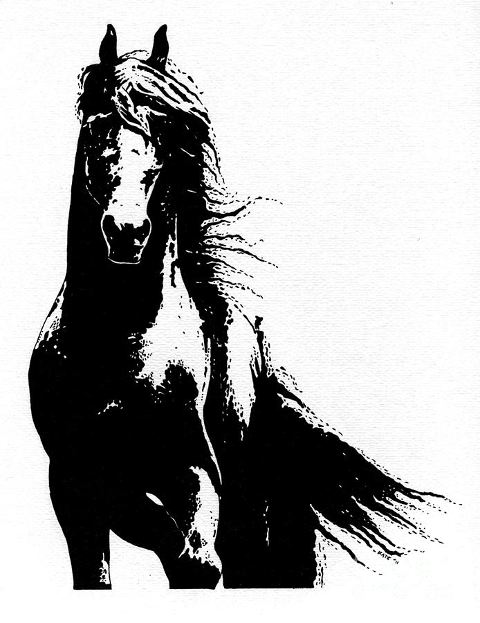 Black Beauty  #1 Drawing by Kate Black