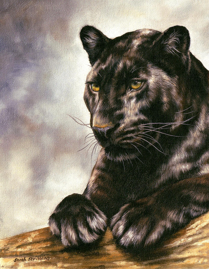 Black Panther Movie Painting - Black panther  #1 by Sarah Stribbling