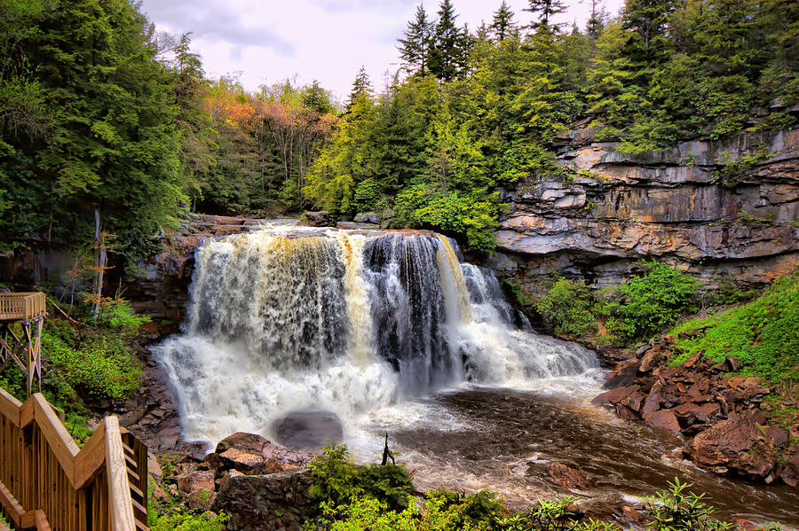 Blackwater Falls SP #3 Photograph by Mary Almond