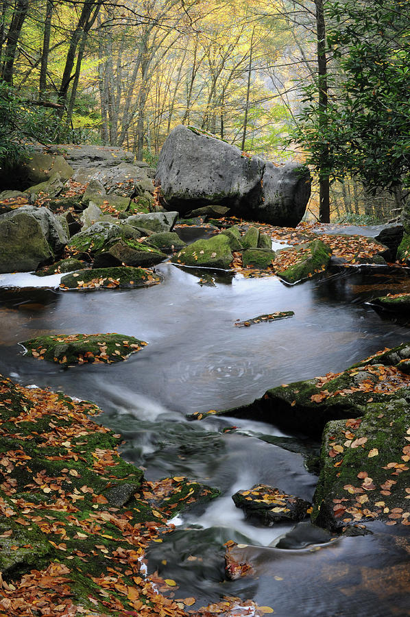 Blackwater Falls State Park In Fall Photograph by Aimintang - Fine Art ...