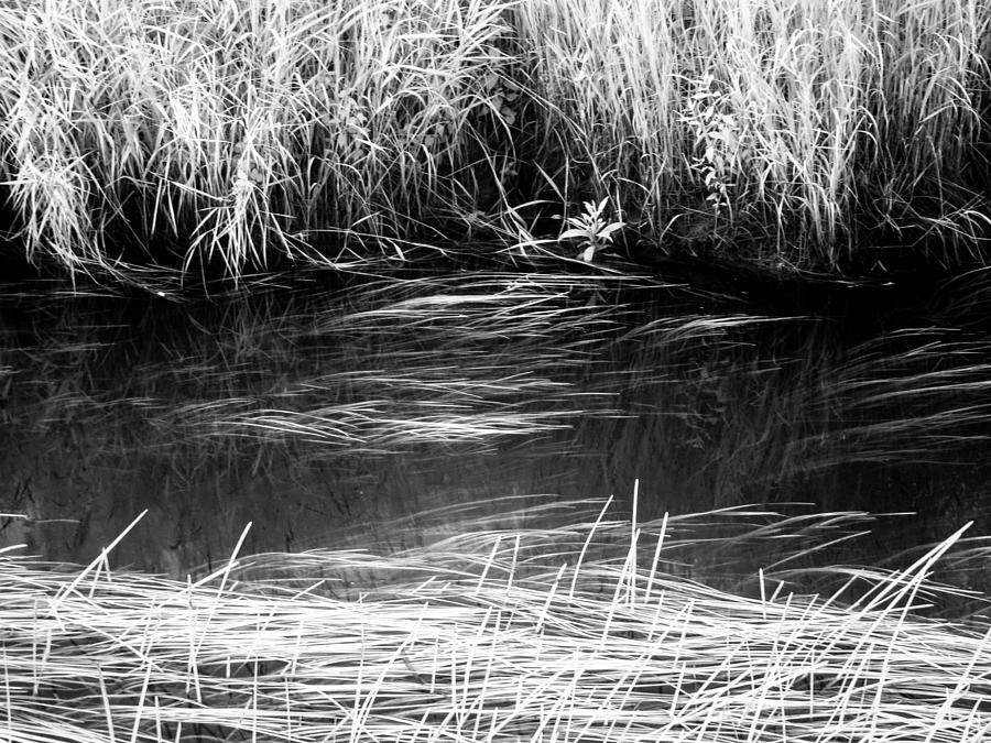 blackwater-river-photograph-by-steve-konya-ii-fine-art-america