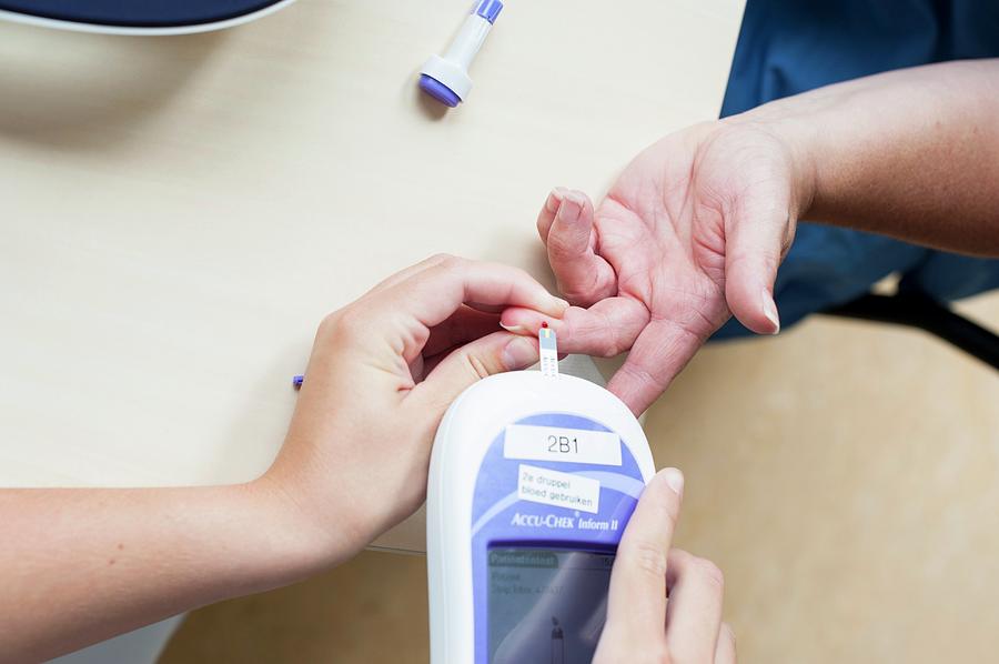 Blood Glucose Test Photograph by Arno Massee/science Photo Library